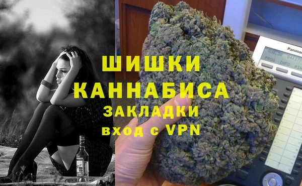 стаф Корсаков