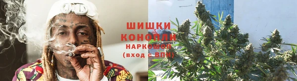 стаф Корсаков