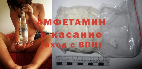 стаф Корсаков