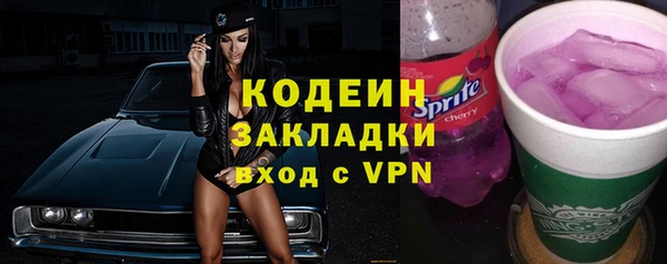стаф Корсаков
