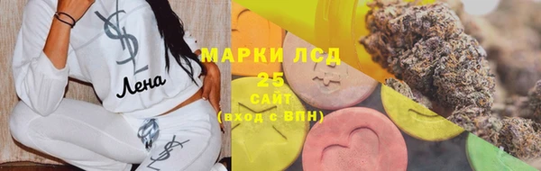 стаф Корсаков