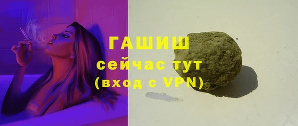 стаф Корсаков