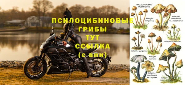 мдпв Коряжма