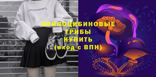 mdpv Костерёво