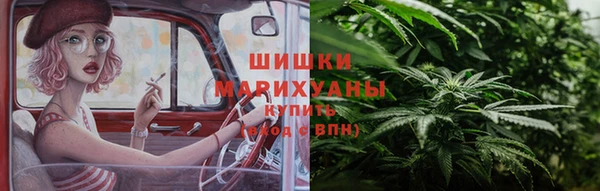 стаф Корсаков