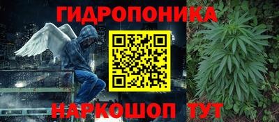 скорость Заводоуковск