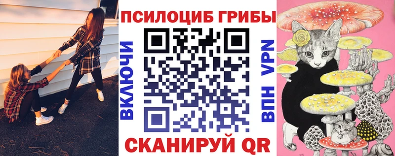 Псилоцибиновые грибы мухоморы Моздок