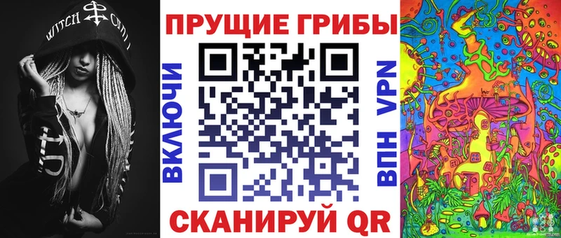 как найти наркотики  Моздок  Псилоцибиновые грибы MAGIC MUSHROOMS 