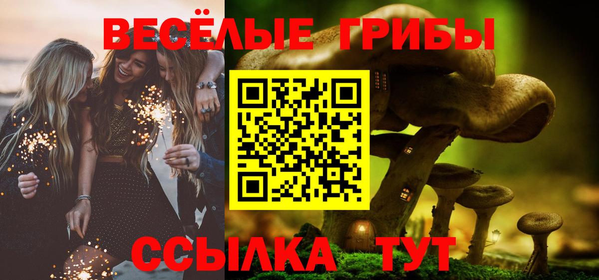 Моздок  Псилоцибиновые грибы Psilocybe  Вход с VPN 