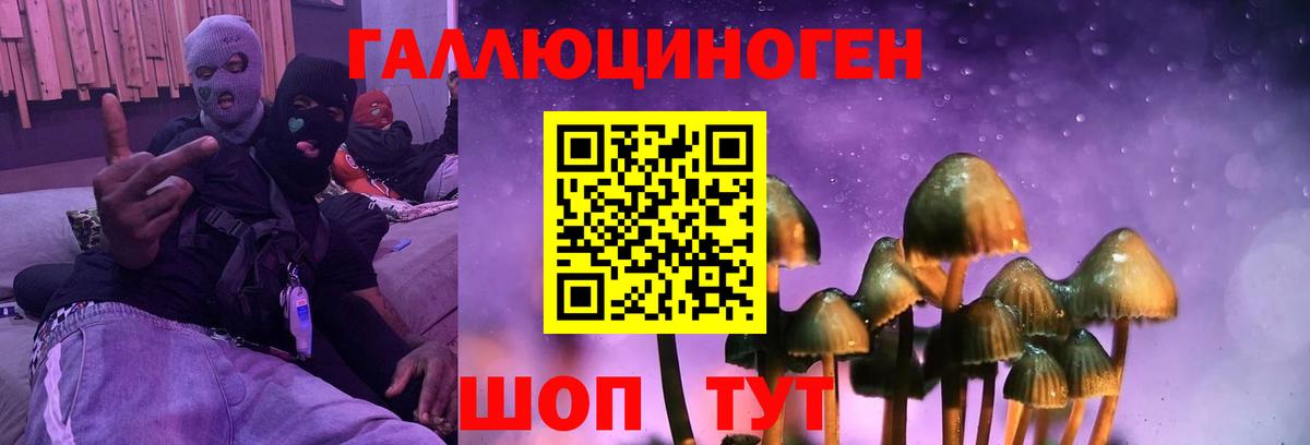 Псилоцибиновые грибы Psilocybine cubensis Моздок